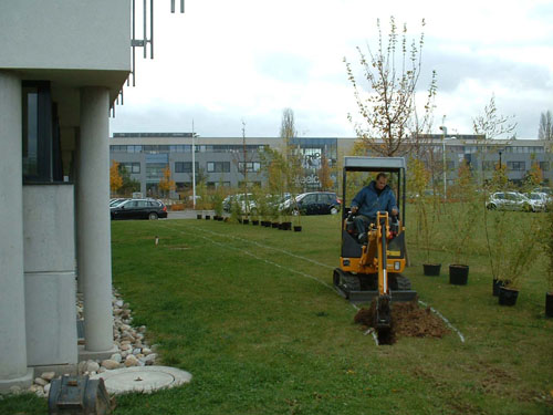 Fabrication d'une tranchée brise vue en bambous