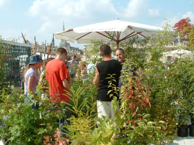 Journées des plantes et Hellébores