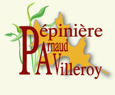 Pépinière Villeroy Xirocourt